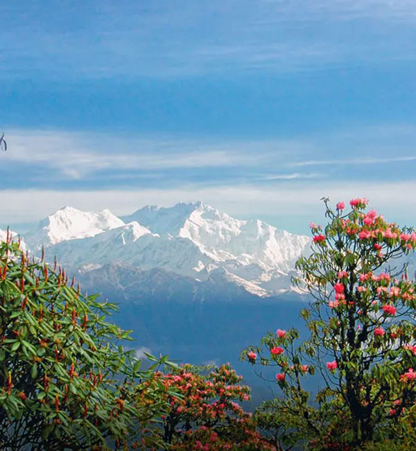 Kalimpong